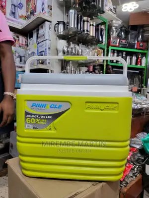 Portable Cooler Bag