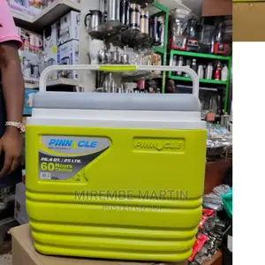 Portable Cooler Bag