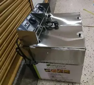 OWNGREAT 12litres Commercial Double Deep Fryers || OG-DF12