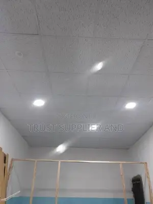 Suspended Ceiling 5 Lights