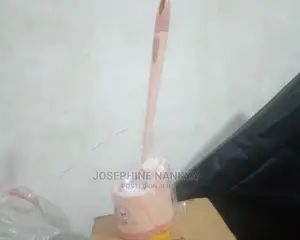 Double Toilet Brush