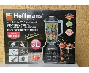 3l Hoffman Smoothie Maker Heavy Duty Highcommercial Blender