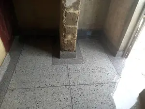 Terrazzo Grinding at Kiyindi