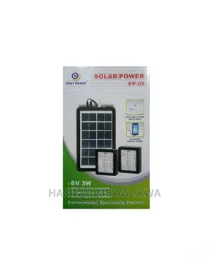 Mini Solar Lighting System With 2 Lights