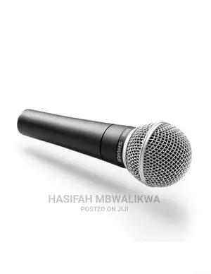 Shure Microphone