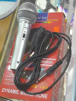 Dynamic Microphone