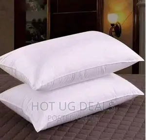 2pcs of Fibre Pillows