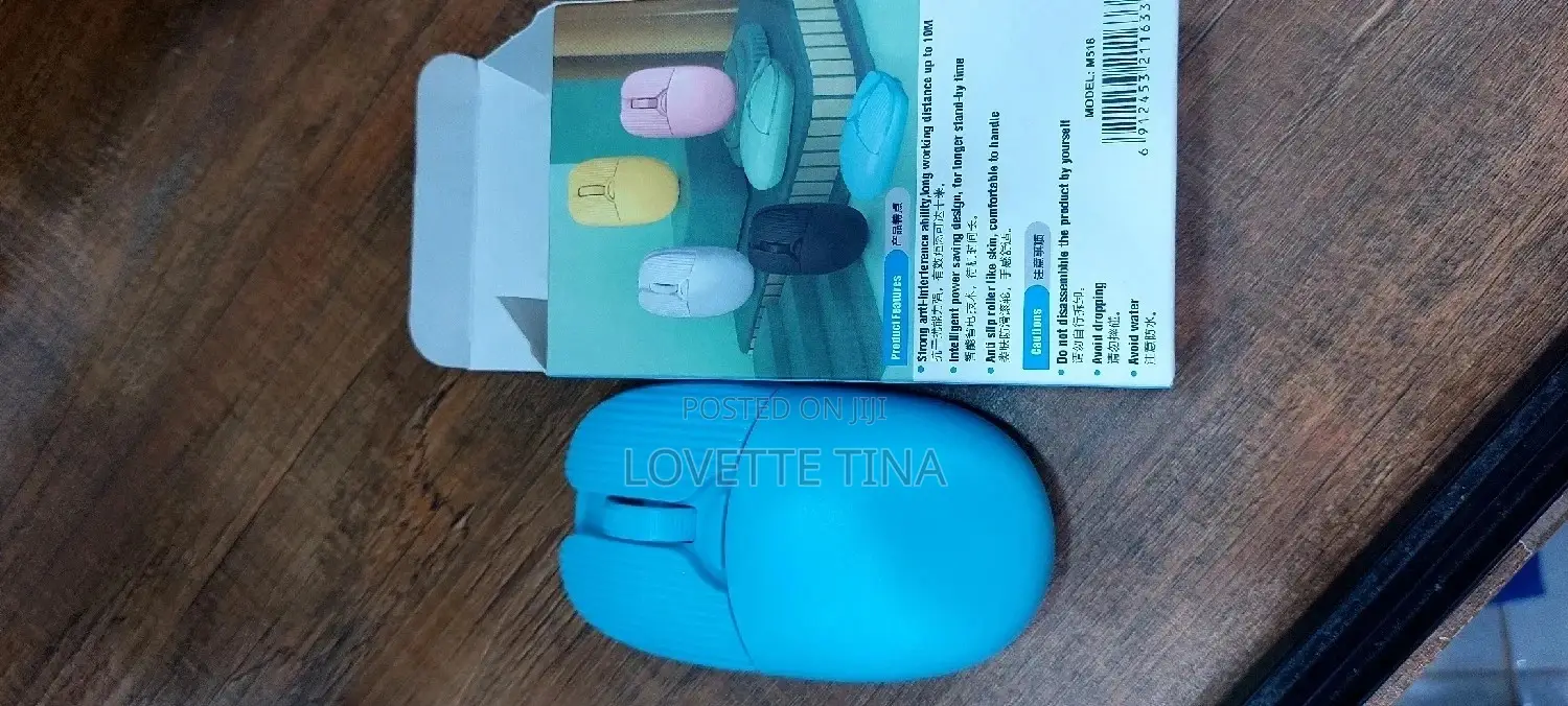 Bluetooth Dual Wifi Mouse Recheable