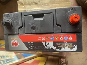 N60 Rhino Batteries