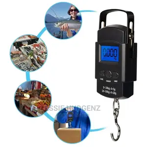 Portable Travel Scale