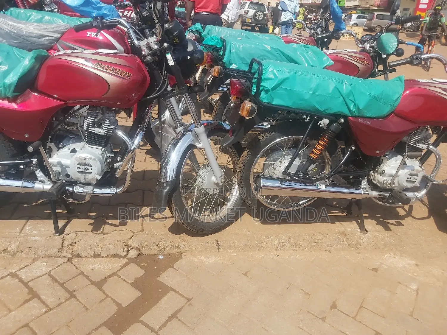 New Bajaj Boxer 100 2023 Red