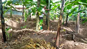 4bdrm House in Owned Personal, Mbale for sale