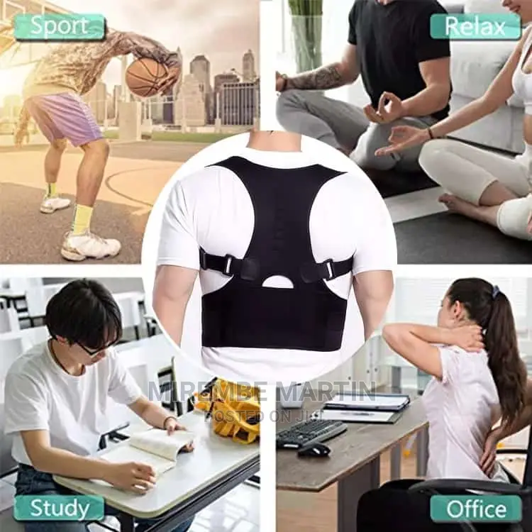 Back Support Belt