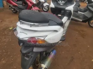 Honda Forza 2022 White
