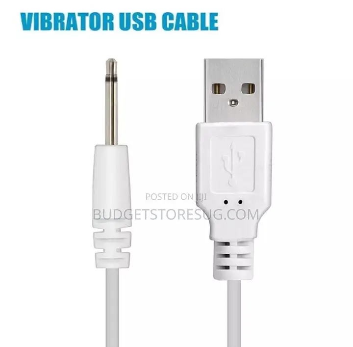 Vibrator Dildo USB Charger Small Pin