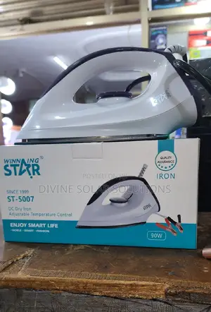 Winning Star DC Dry Iron