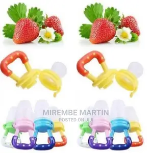 Baby Fruit Feeder