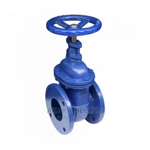 Flanged Gate Valve