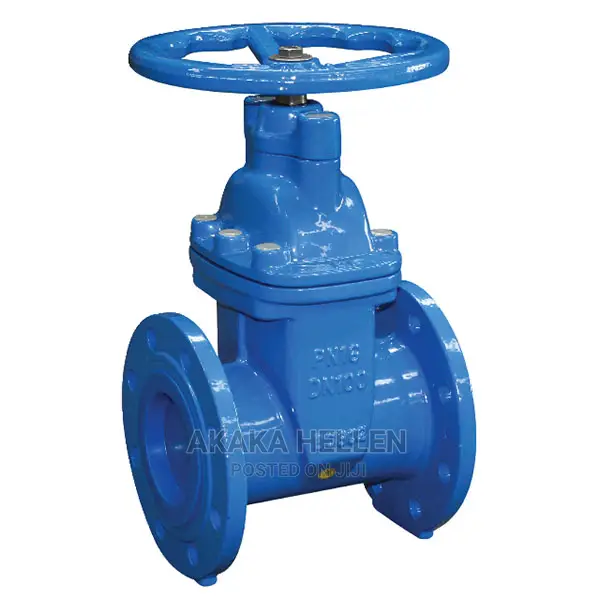 Flanged Gate Valve
