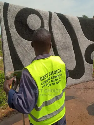 Carpet Cleaning Done the Best Way.