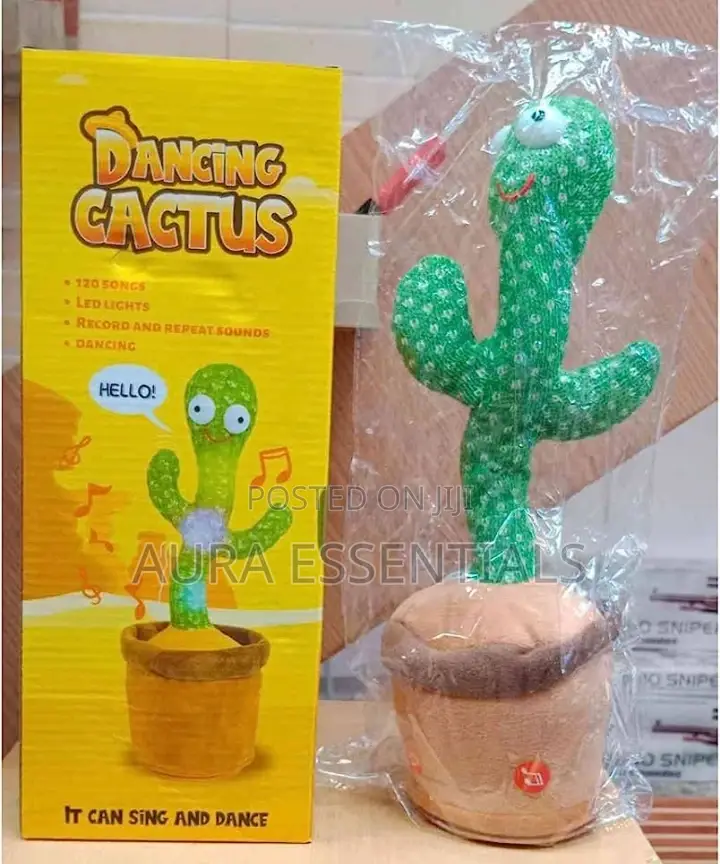Baby Dancing Cactus