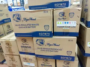 70ah Tiger Head Solar Battery