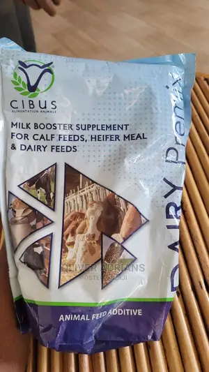 Dairy Premix
