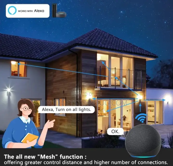 Smart Led Lamp With Alexa