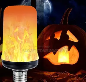 Dynamic Flame Bulb