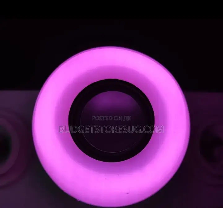 Diamond Music Bulb
