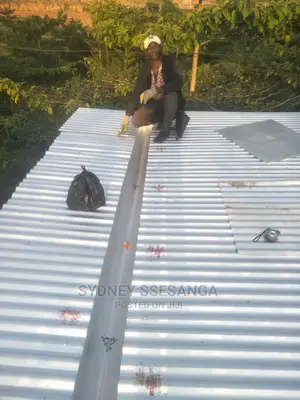 Roofing Services (Flat Roofing)