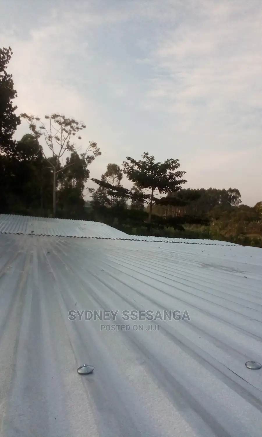 Roofing Services (Flat Roofing)