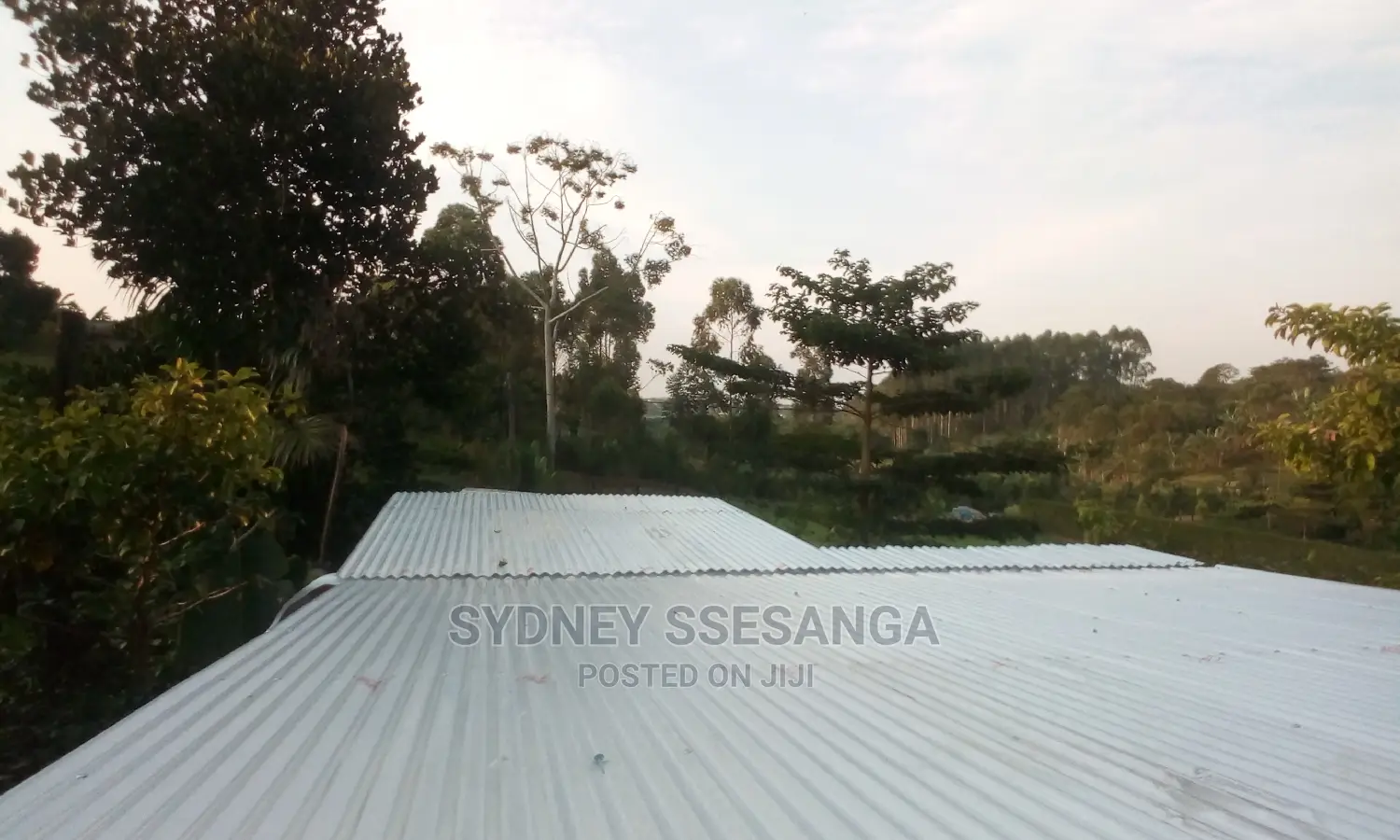 Roofing Services (Flat Roofing)