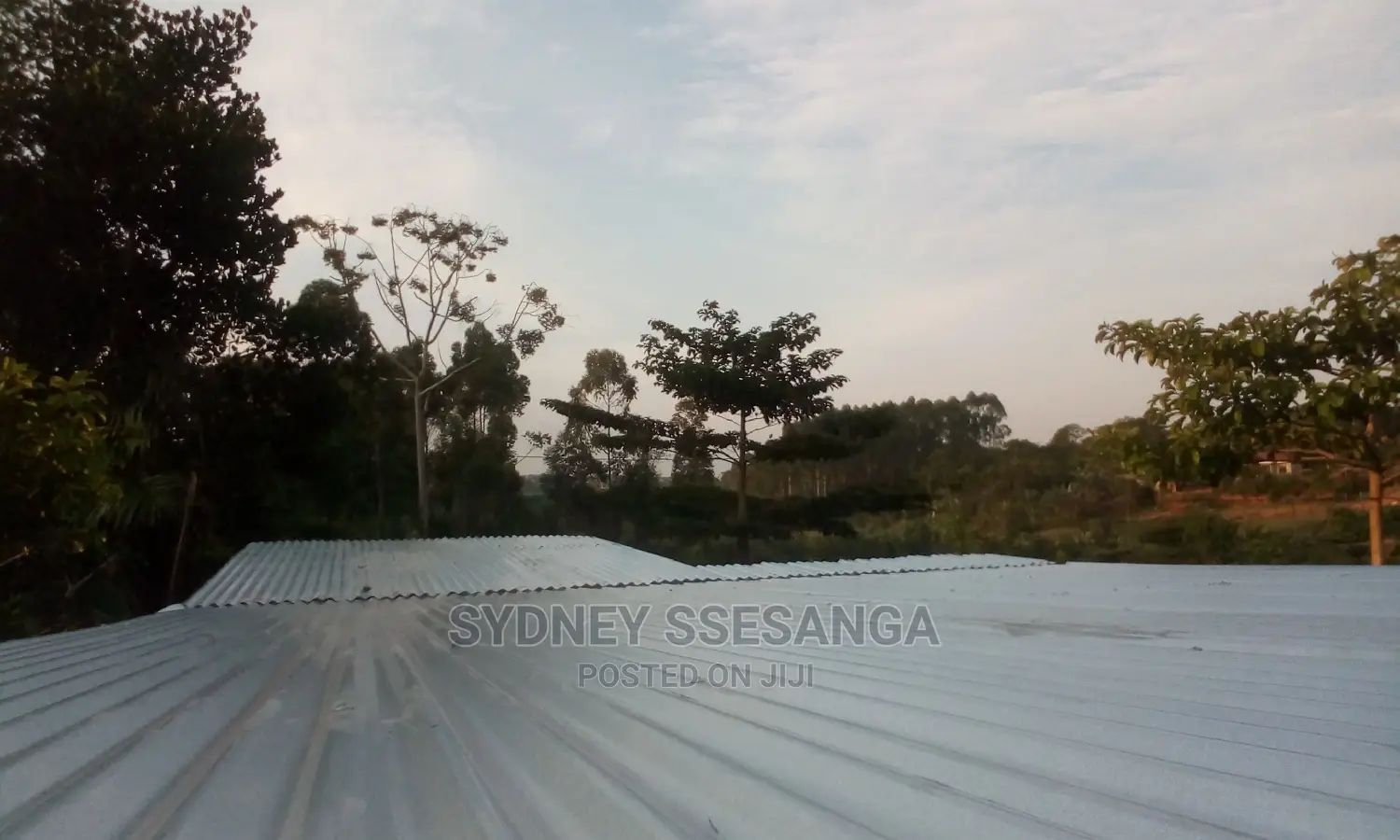 Roofing Services (Flat Roofing)