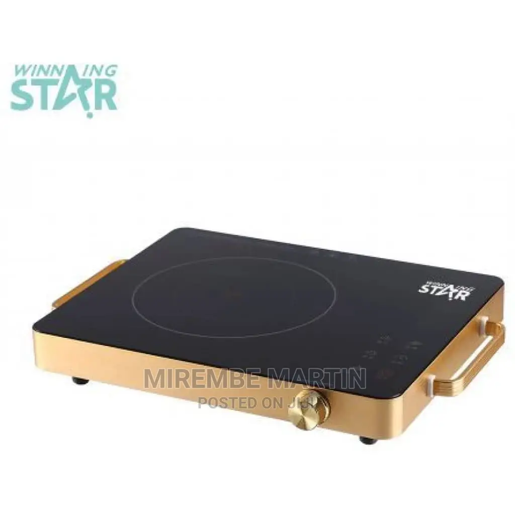Winning Star Infrared Cooker