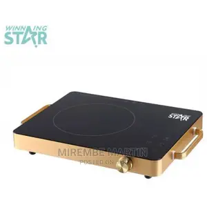 Winning Star Infrared Cooker