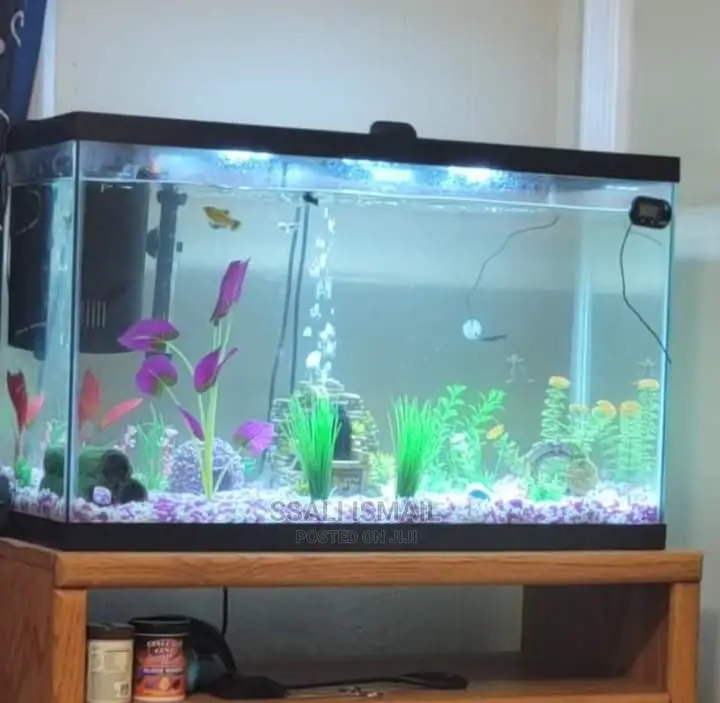 Crystal Clear Water Aquarium
