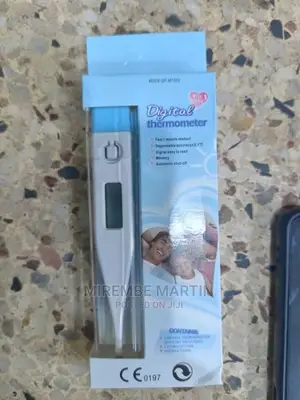 Digital Thermometer