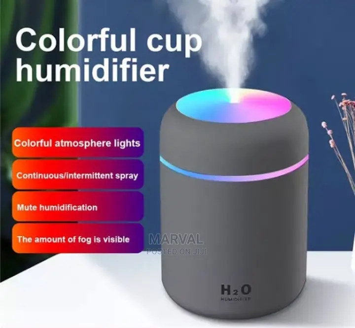 Mini Aroma Diffuser/ Humidifier