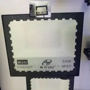 50w AC Warm Flood Light