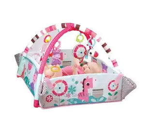Baby Play Gym