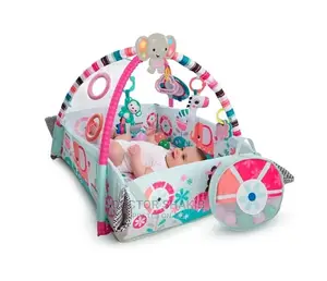 Baby Play Gym