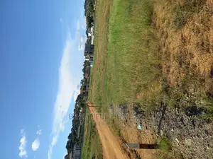 Kigo Executiv3 Plots on Sell