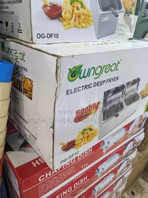 Electric Deep Fryer