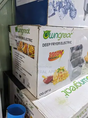 Electric Deep Fryer