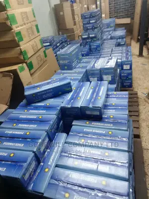 100ah German King Batteries for Solar