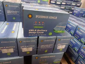 100ah German King Batteries for Solar