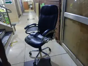 Office Long Back Performance Chair