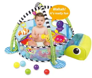Activity Gym and Ball Pit