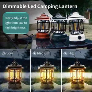 Rechargeable Electric Lamps